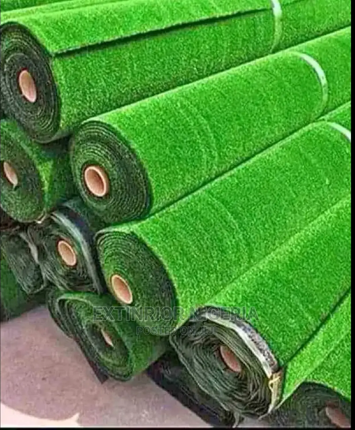 Carpet Grass