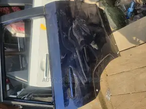 Rav4 2020 Back Door