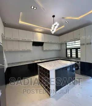 Luxury Kitchen Cabinet Design With Accessories