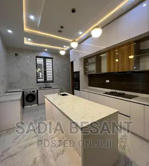 Luxury Kitchen Cabinet Design With Accessories