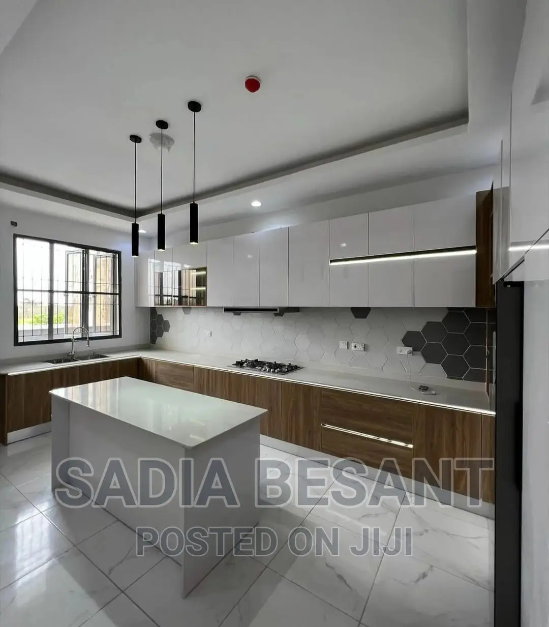 Luxury Kitchen Cabinet Design With Accessories