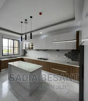 Luxury Kitchen Cabinet Design With Accessories