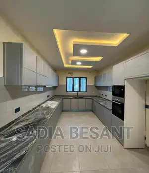 Luxurious Kitchen Cabinet Design With Accessories