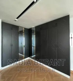 Contemporary Walk-in Closet Interior Design