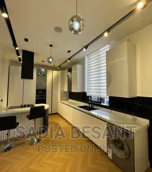 Luxury Kitchen Cabinet Design With Accessories