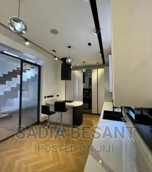 Luxury Kitchen Cabinet Design With Accessories