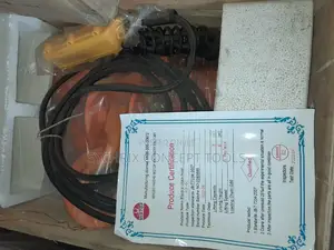 Electric Chain Hoist 2 Ton