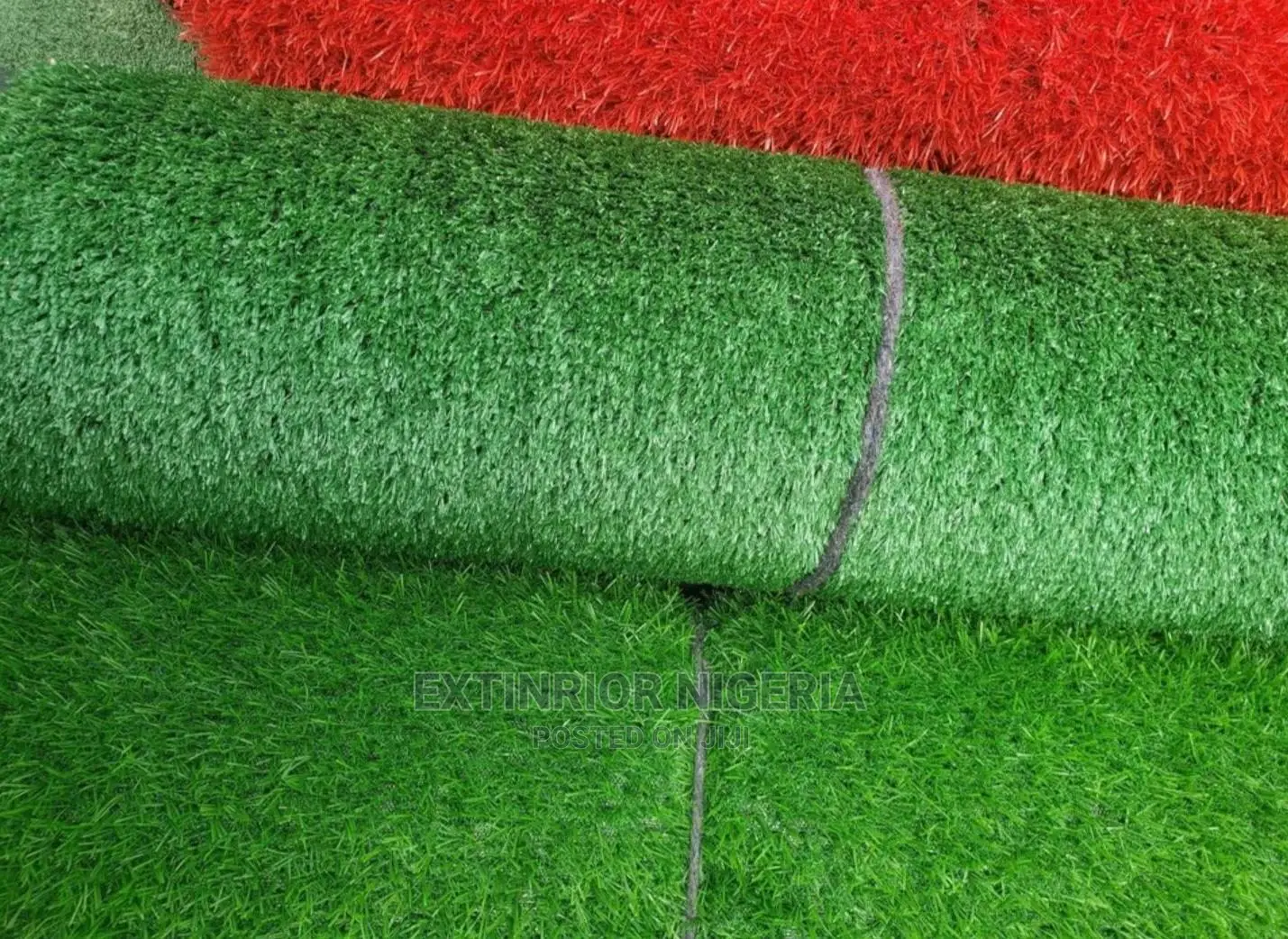 Carpet Grass