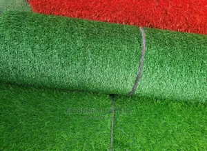 Carpet Grass