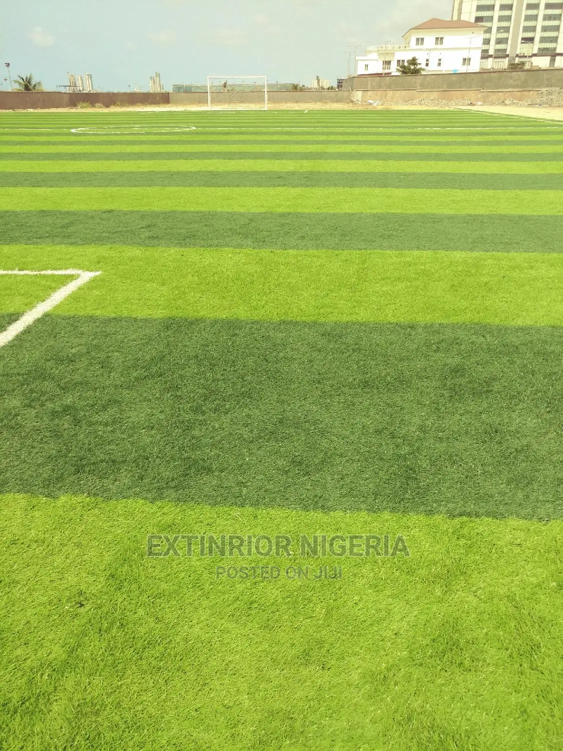Carpet Grass