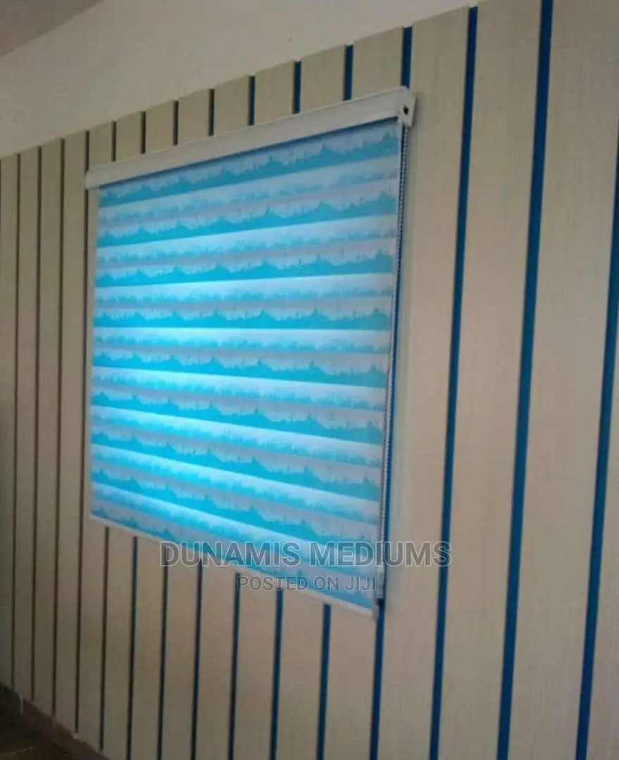 Day and Night Window Blinds