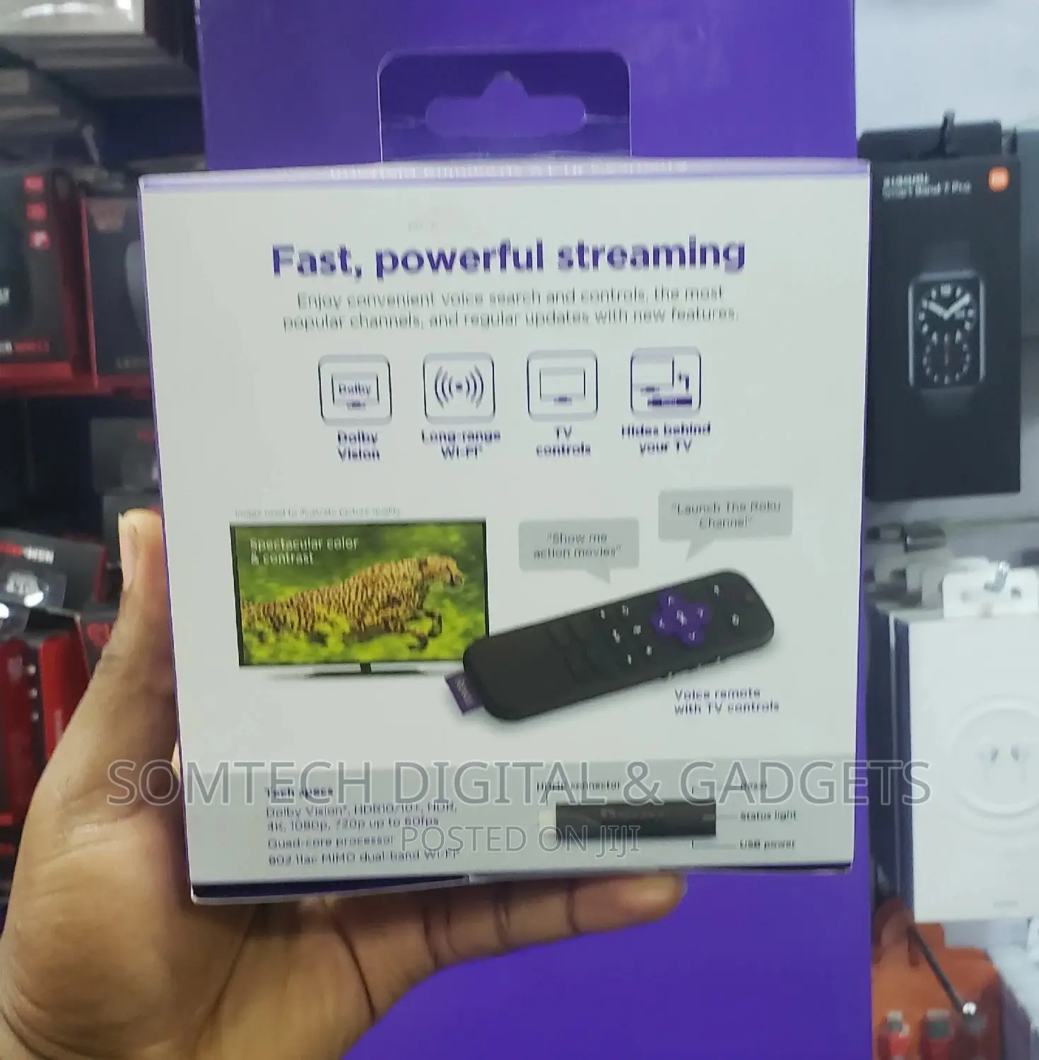 Roku Streaming Stick