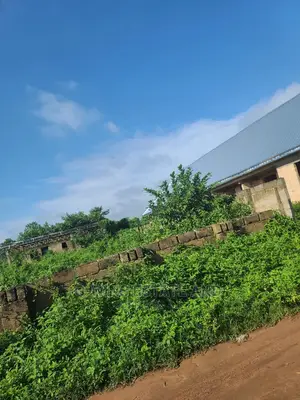Land for Sale at Aruogba