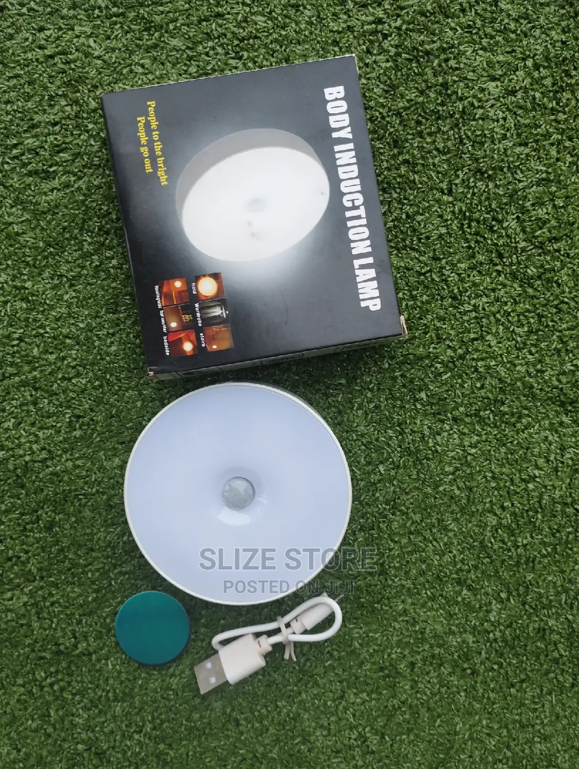 Body Induction Light