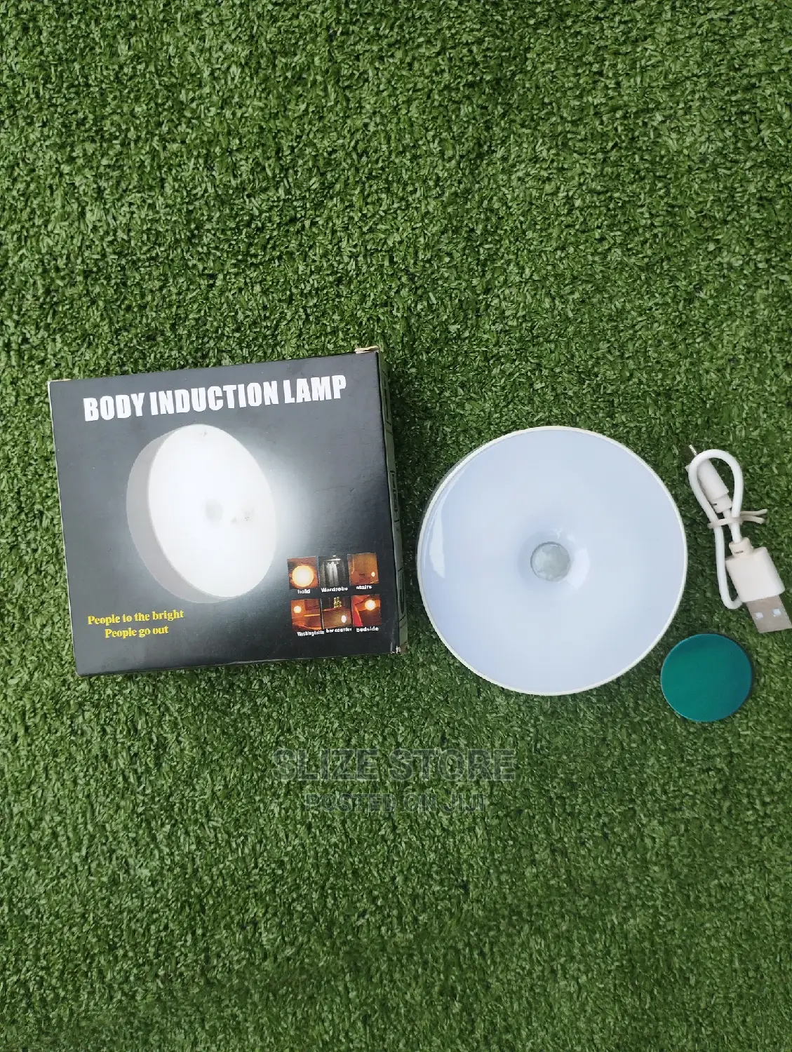 Body Induction Light