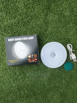 Body Induction Light