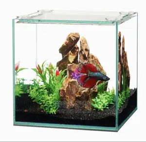 Photo - Complete Affordable Aquarium - Instant Delivery + 2 Fishes