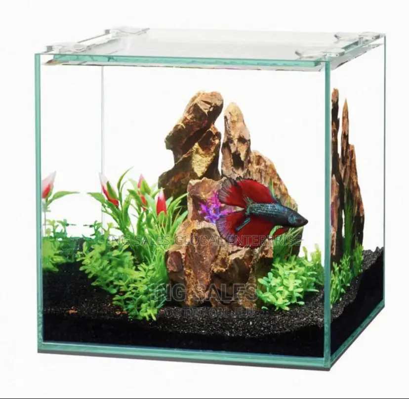 Complete Affordable Aquarium - Instant Delivery + 2 Fishes