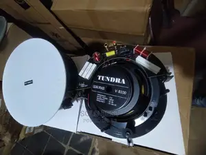 8 Inches Celling Speaker Tundra Product