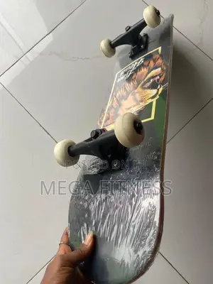 Adult Skateboards
