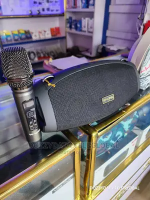 Wking D10 Large Output 60w Bluetooth Speaker With Mic