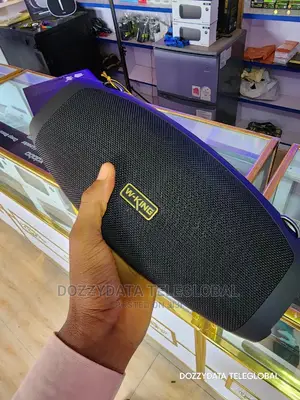 Wking D10 Large Output 60w Bluetooth Speaker With Mic