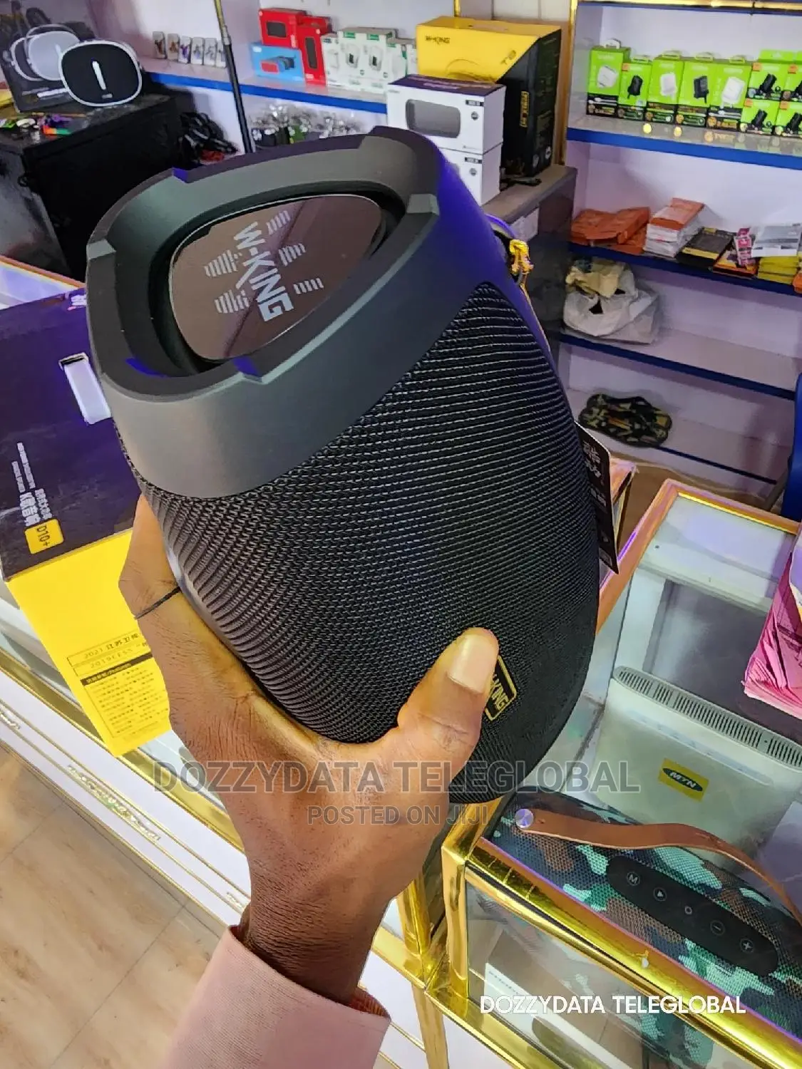 Wking D10 Large Output 60w Bluetooth Speaker With Mic