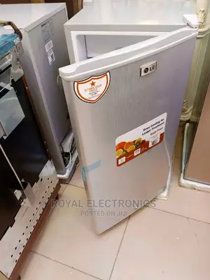 Classic Lg Single Door Refrigerator Silver