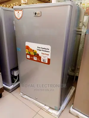 Standard Lg Single Door Refrigerator Silver