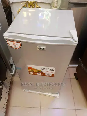 Top Quality LG Single Door Refrigerator Silver