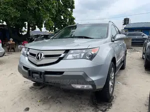 Acura MDX 2009 Silver