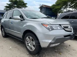 Acura MDX 2009 Silver