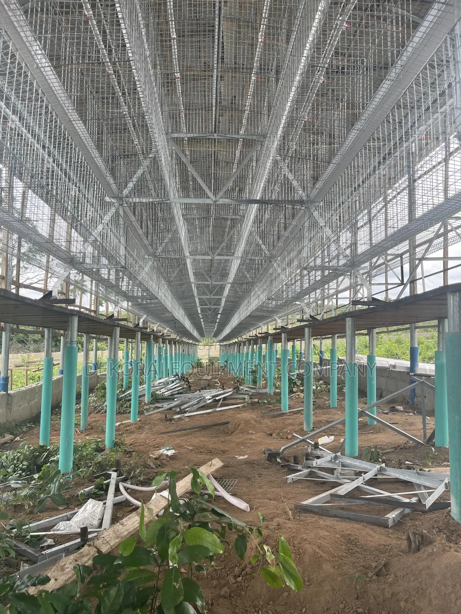 120 Birds Premium High Quality Imported Cage
