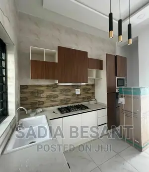 Exquisite Kitchen Cabinet Design With Accessories