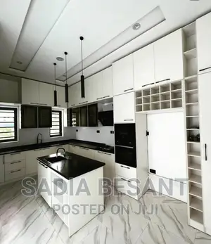 Luxury Kitchen Cabinet Design With Accessories