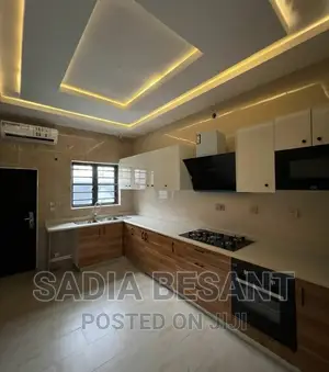 Exquisite Kitchen Cabinet Design With Accessories