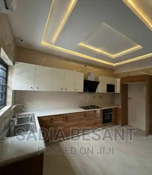 Exquisite Kitchen Cabinet Design With Accessories