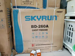 High-Efficiency Skyrun 260 Litres Chest Freezer | BD-260A