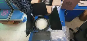 100w Cob Light With Bandoor