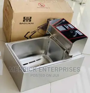 Electric Deep Fryer