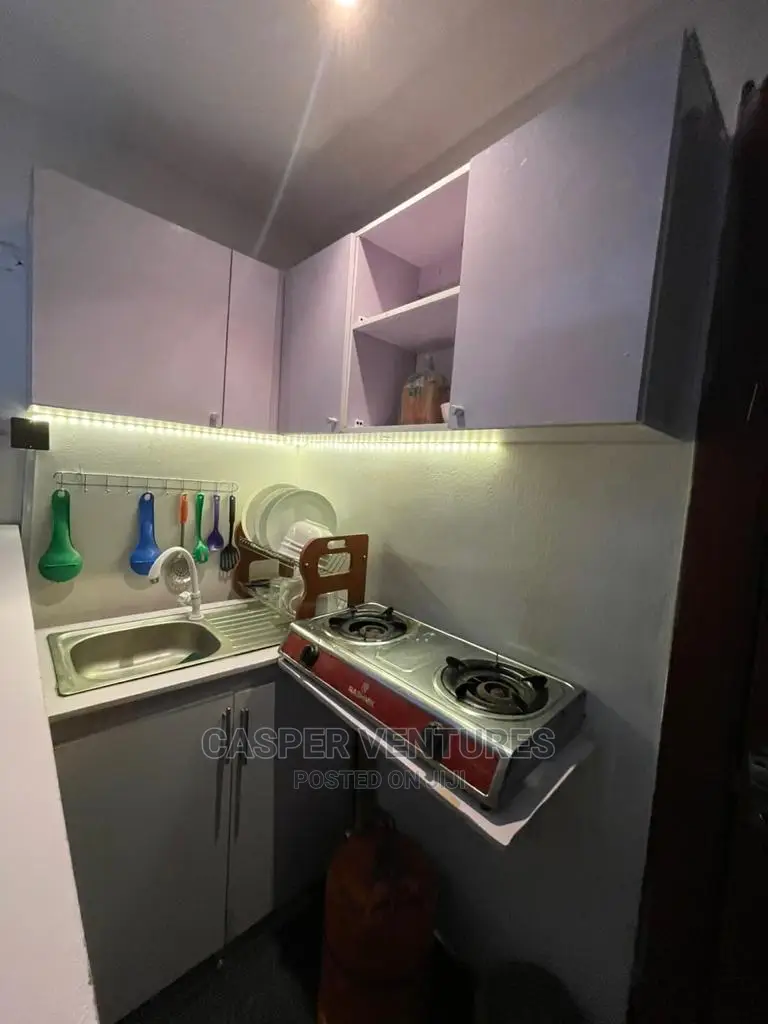 Glamorous Studio Apartment