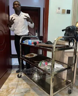 Stainless Steel Dining Cart