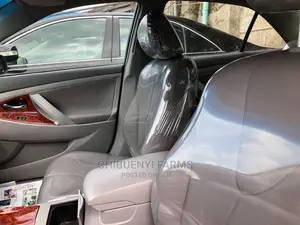 Toyota Camry 2010 Gray