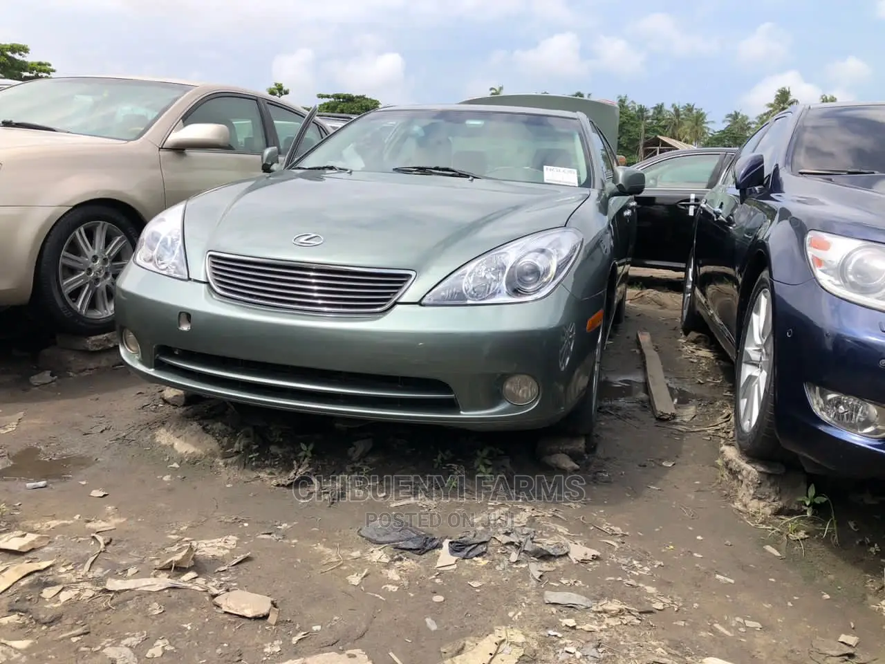 Lexus ES 330 2005 Green