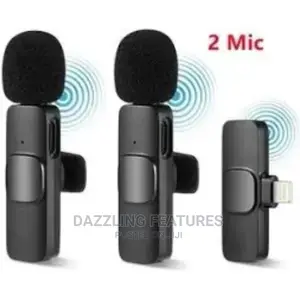 Double Mic Lapel Microphone