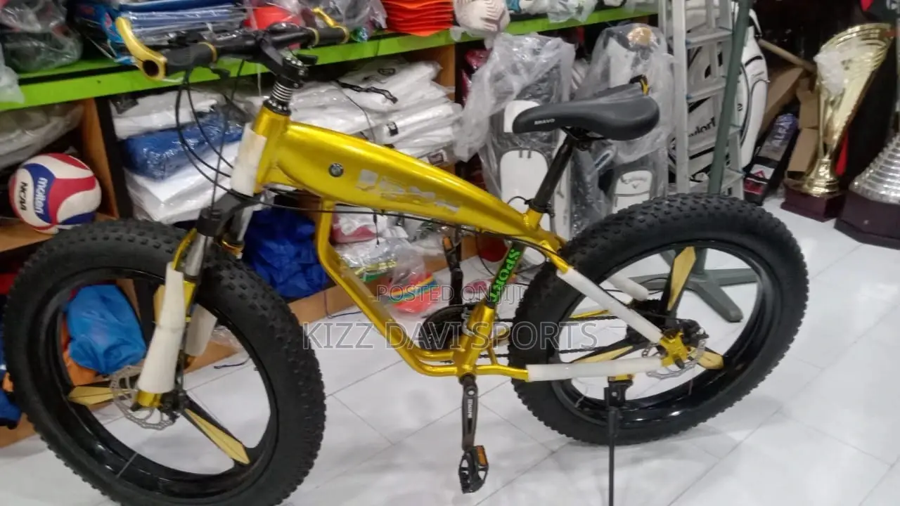 BMW Bicycles Big Tire