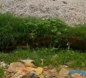A Plot of Land Measuring Approximately 450sqm Area Size