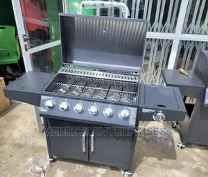6burner Gas Barbecue Grill