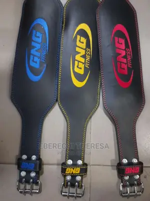 Weight Lifting Belt
