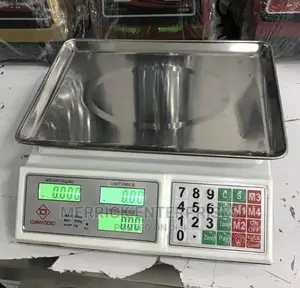 40kg Scale